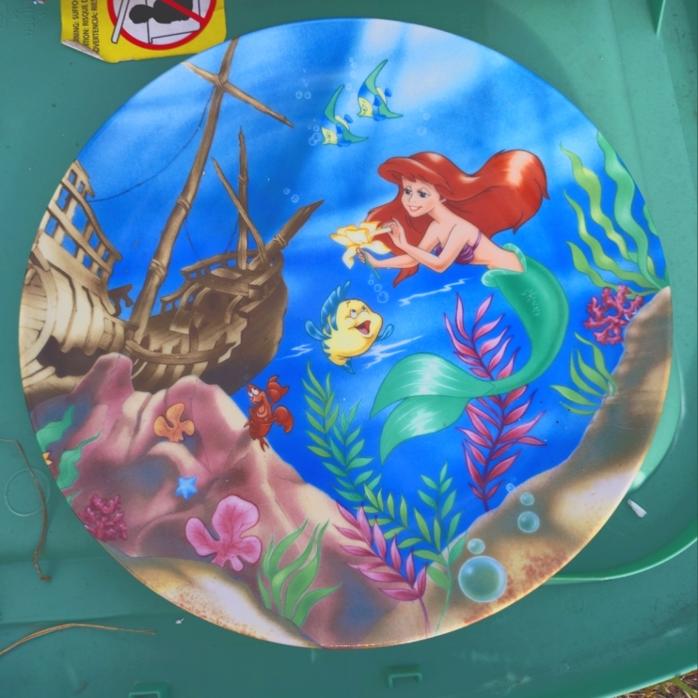 Disney collector plate